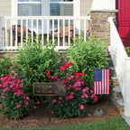 We the People Personalized Eagle Lawn Plaque lifestyle view